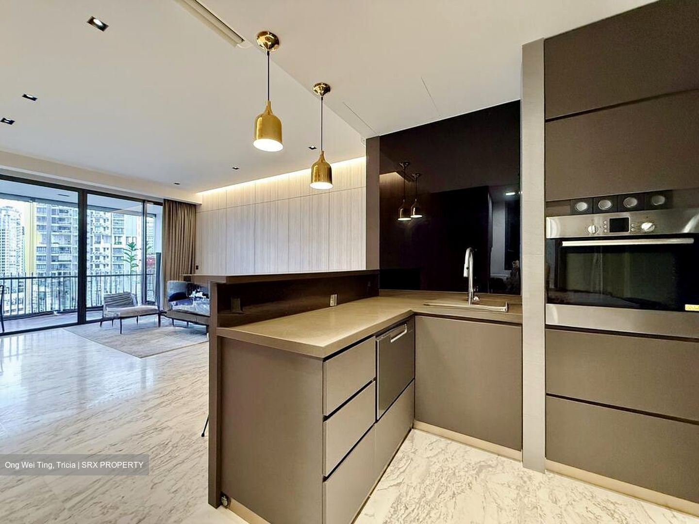 The Arte (D12), Condominium #506108841